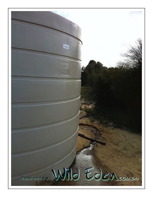 1 September 2011 Living Water!!