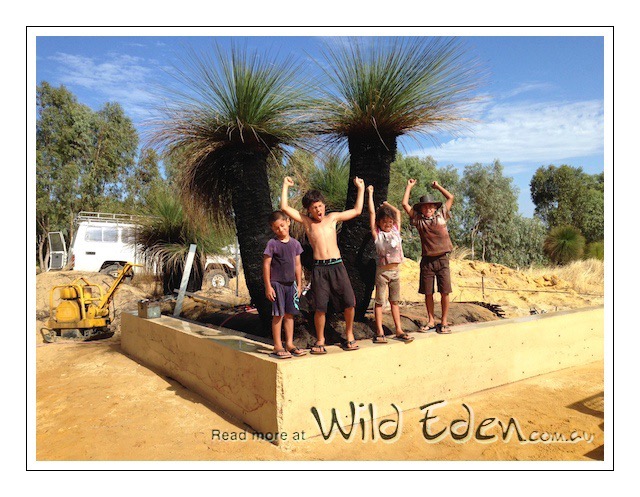 5 Feb 2014 More retaining walls 